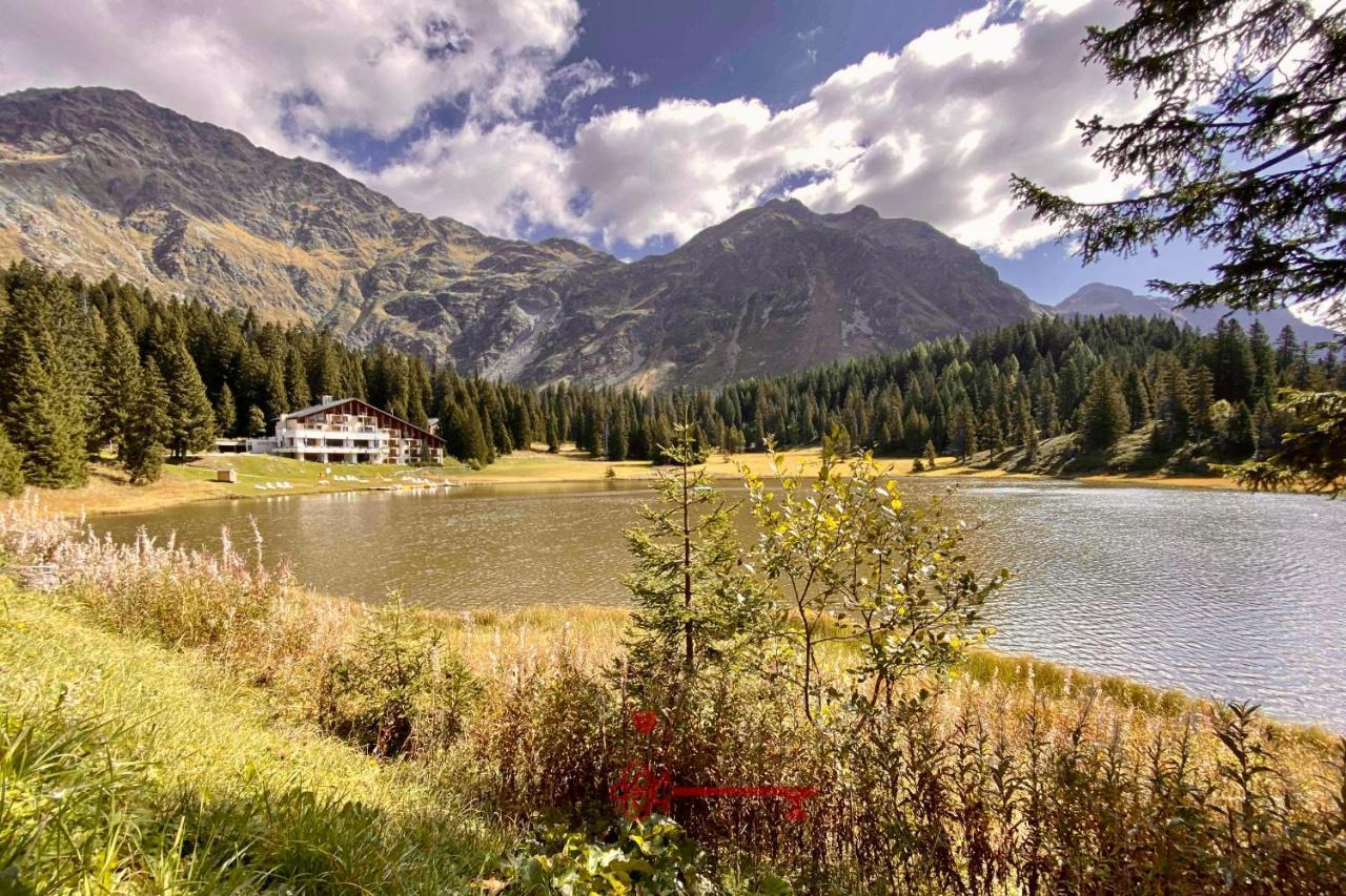 Chalet 5 Stars In San Bernardino, Ski Slopes And Hiking, Fireplace, 4 Snowtubes Free, Wi-Fi Free, For 8 Persons, Wonderful In All Seasons -By Easylife Swiss Zewnętrze zdjęcie